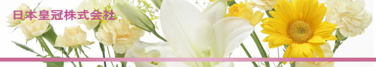 ���{�c��������В�����